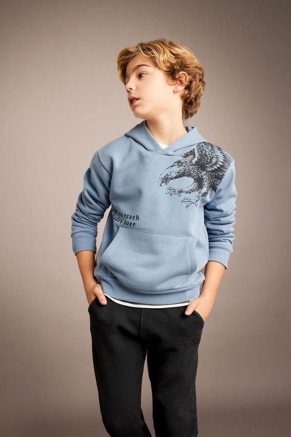 DEFACTO DEFACTO Boy's Printed Hooded Thick Sweatshirt