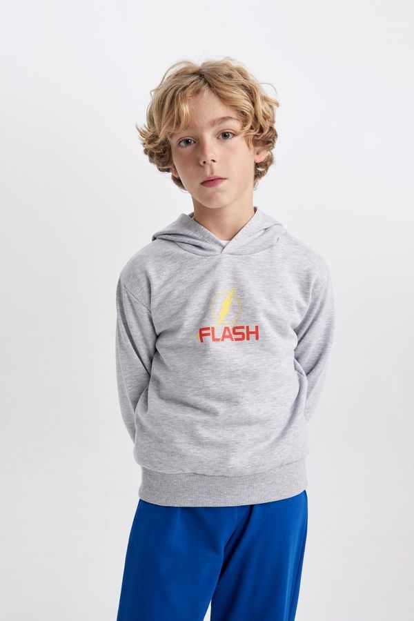 DEFACTO DEFACTO Boy's The Flash Thick Hooded Sweatshirt