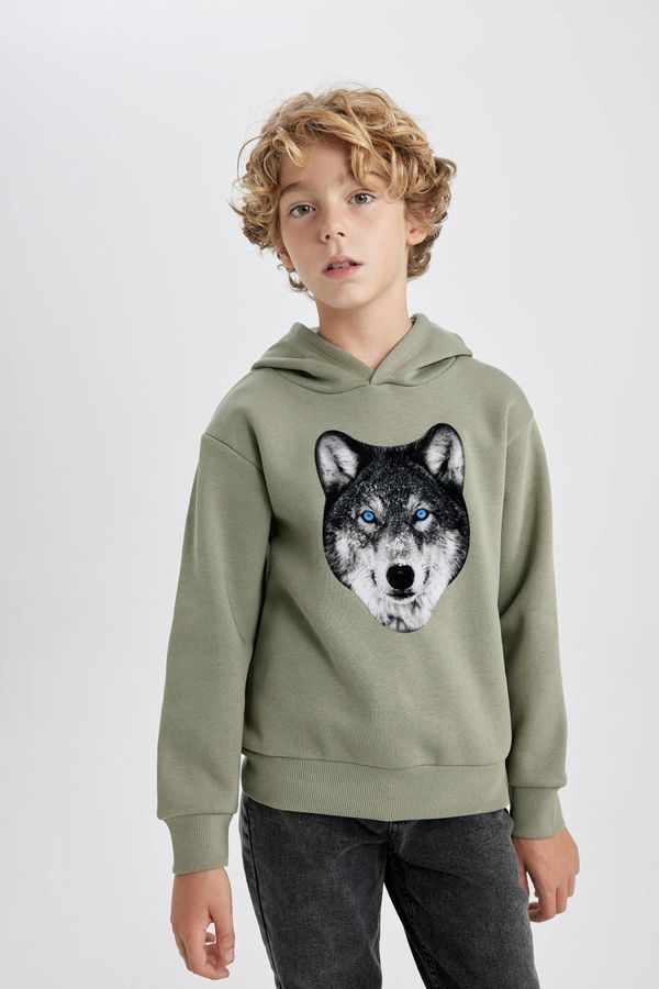 DEFACTO DEFACTO Boy's Thick Hooded Sweatshirt