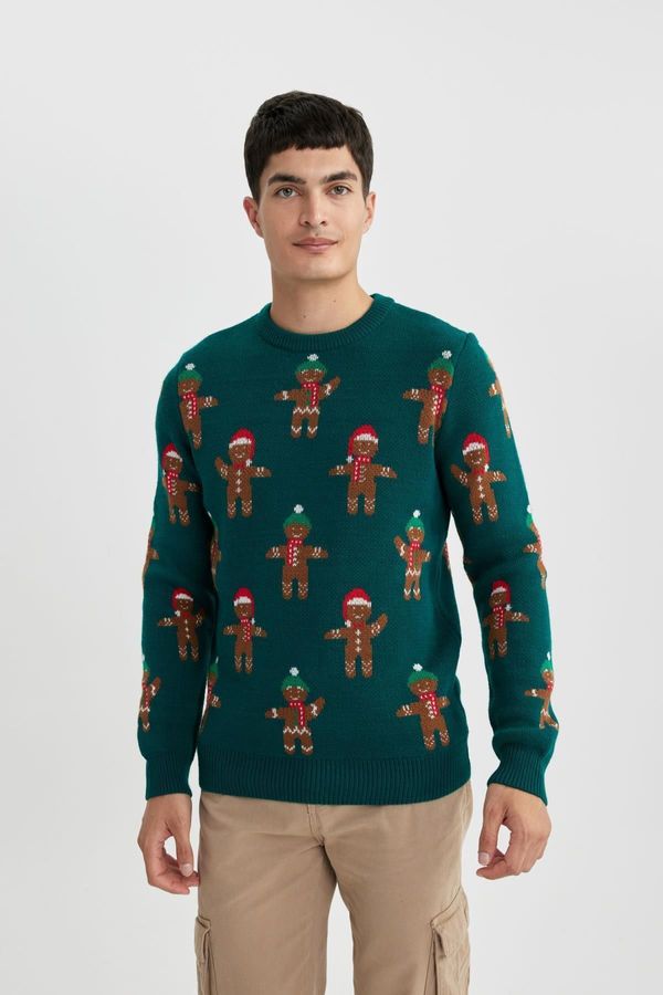 DEFACTO DEFACTO Christmas Themed Standard Fit Crew Neck Knitwear Sweater