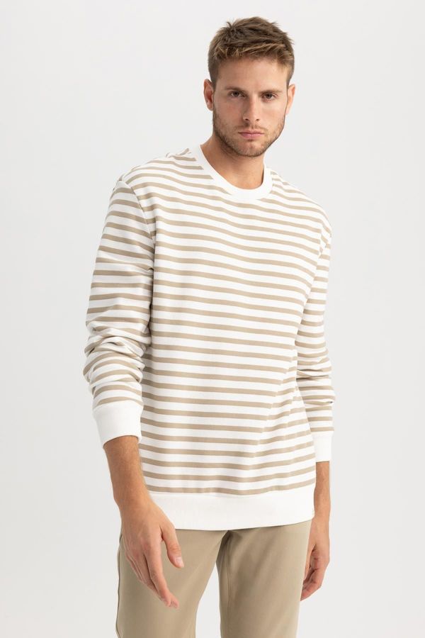 DEFACTO DEFACTO Comfort Fit Crew Neck Striped Sweatshirt