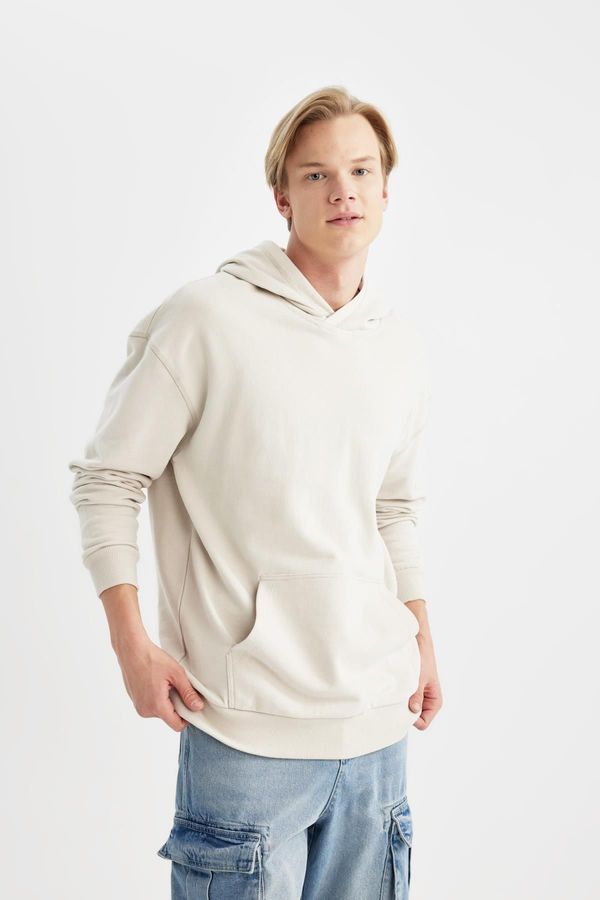 DEFACTO DEFACTO Comfort Fit Hooded Basic Sweatshirt