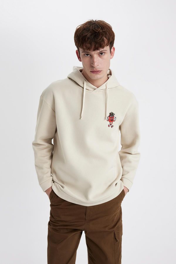 DEFACTO DEFACTO Comfort Fit Hooded Sweatshirt