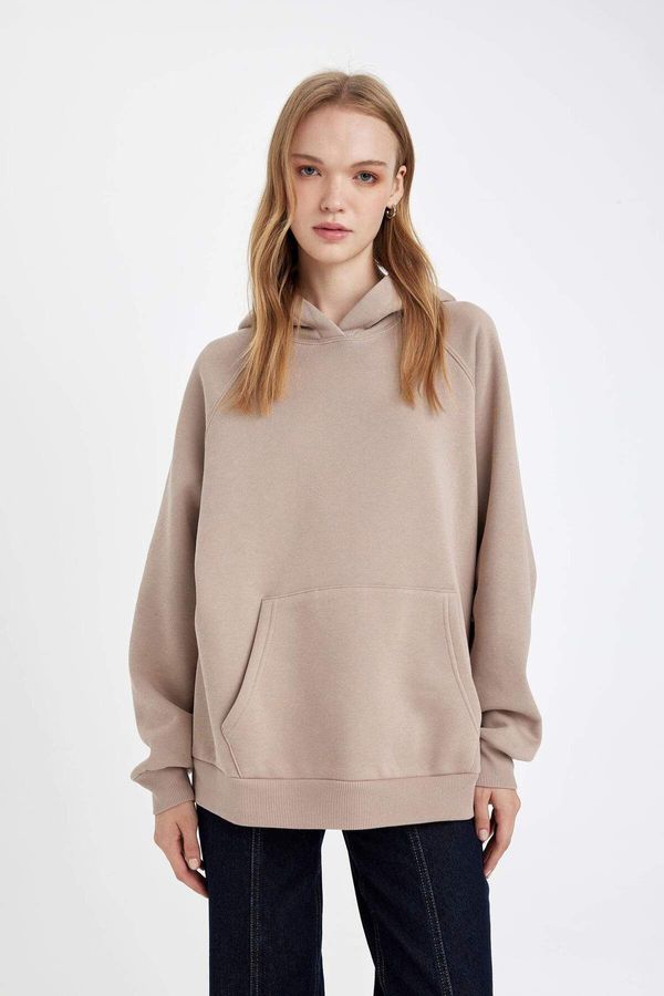 DEFACTO DEFACTO DFC - Oversize Fit Hooded Thick Fabric Sweatshirt