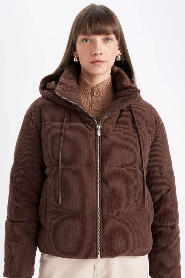 DEFACTO DEFACTO Dfc - Velvet Puffer Jacket with Hooded Zipper Pockets