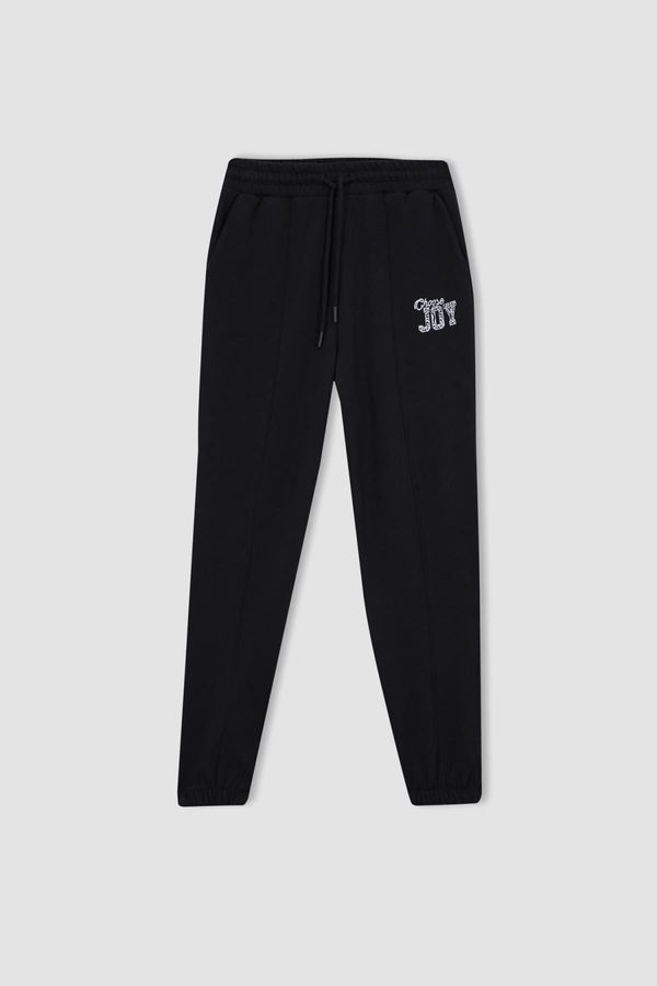 DEFACTO DEFACTO Fit Standard Fit Long Length Thick Fabric Sweatpants with Pockets