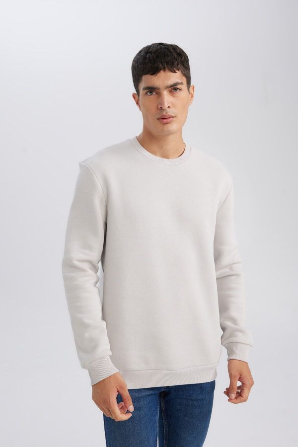 DEFACTO DEFACTO Gray 3 Thread Cotton Raised Polar Fleece Regular Fit Crew Neck Thick Sweatshirt