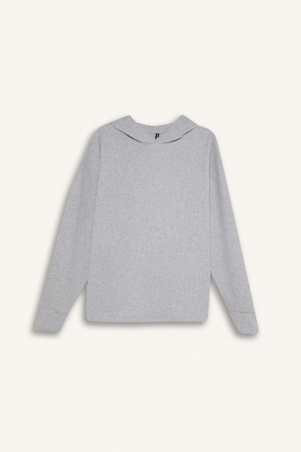 DEFACTO DEFACTO Gray Relax Fit Hooded Casual Basic Plain Sweatshirt