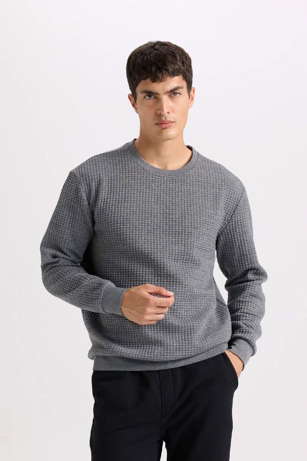 DEFACTO DEFACTO Grey Regular Fit Crew Neck Jacquard Sweatshirt