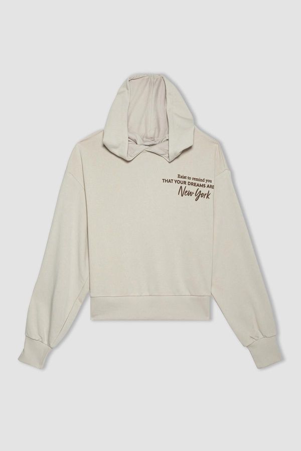 DEFACTO DEFACTO Hooded Hooded Zippered Sweatshirt