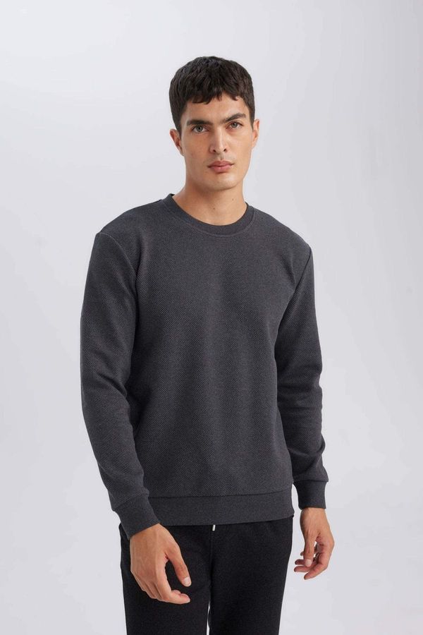 DEFACTO DEFACTO Men's Anthracite Regular Fit Crew Neck Jacquard Sweatshirt