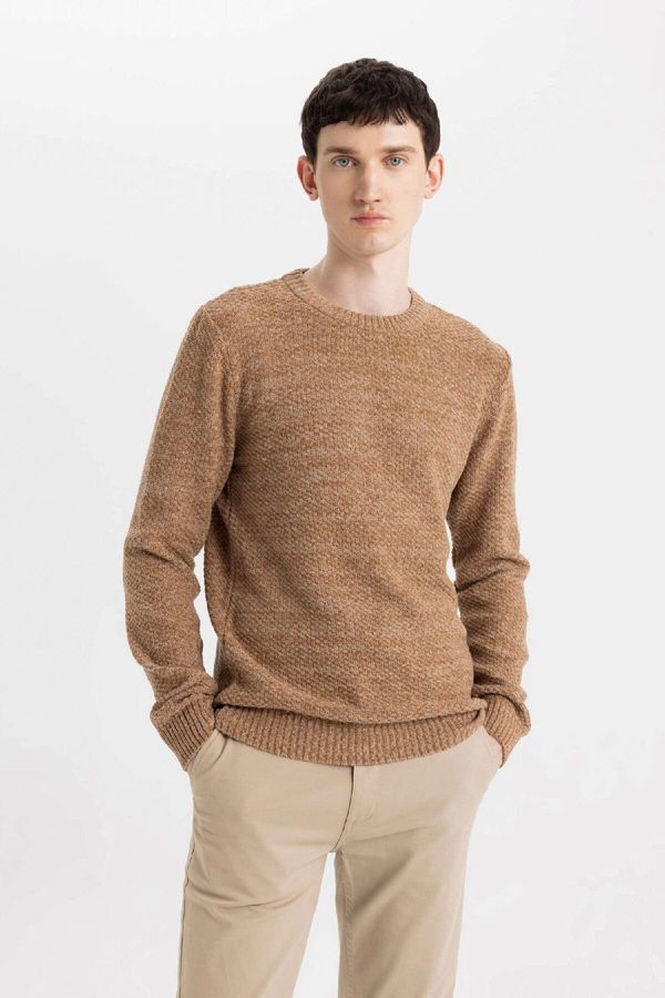 DEFACTO DEFACTO Men's Brown Standard Fit Regular Cut Crew Neck Textured Basic Knitwear Sweater