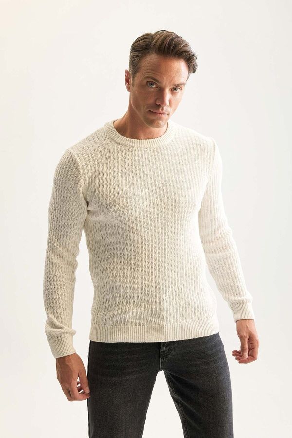 DEFACTO DEFACTO Men's Ecru Standard Fit Crew Neck Textured Knitwear Sweater