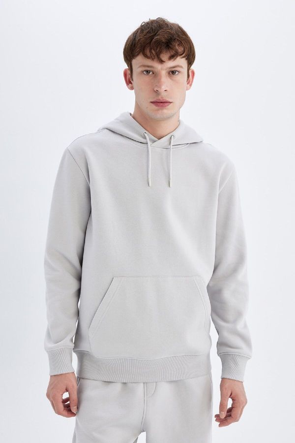 DEFACTO DEFACTO Men's Gray Pocketed Regular Fit Hooded Basic Sweatshirt