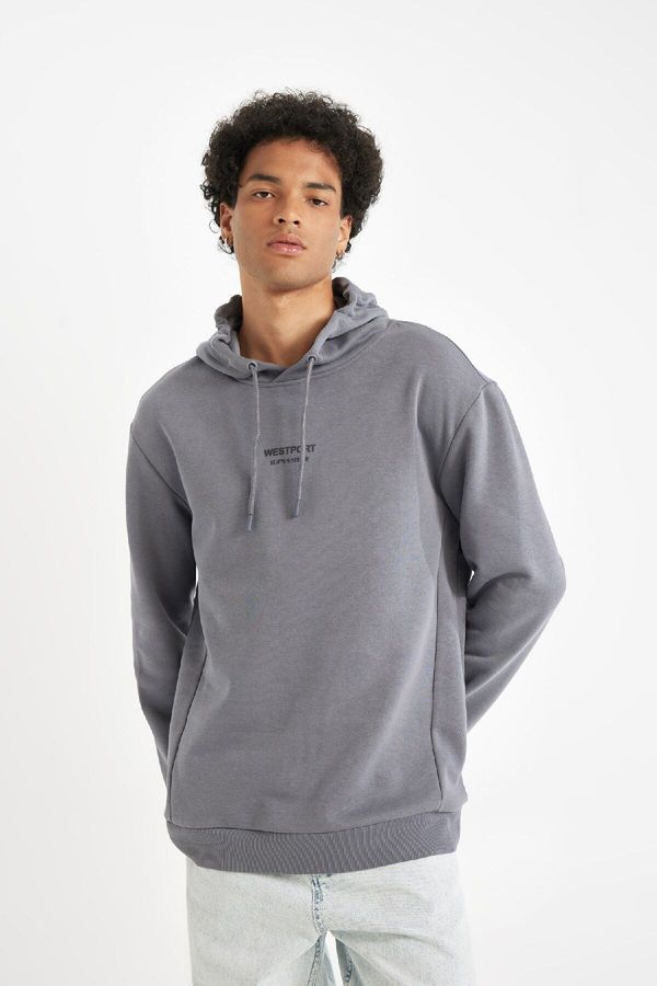 DEFACTO DEFACTO Men's Gray Regular Fit Hooded Printed Sweatshirt