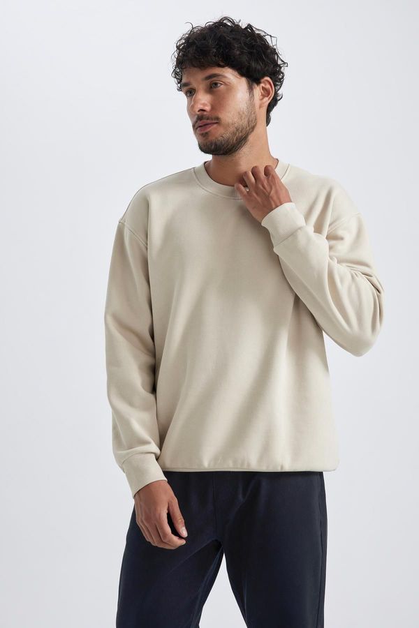 DEFACTO DEFACTO Oversize Fit Crew Neck Basic Sweatshirt