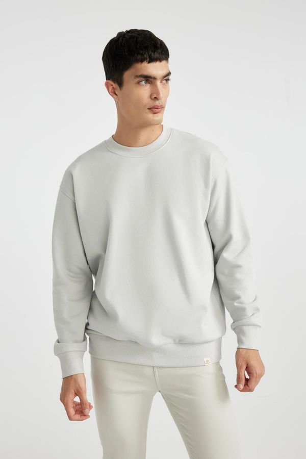 DEFACTO DEFACTO Oversize Fit Crew Neck Basic Sweatshirt