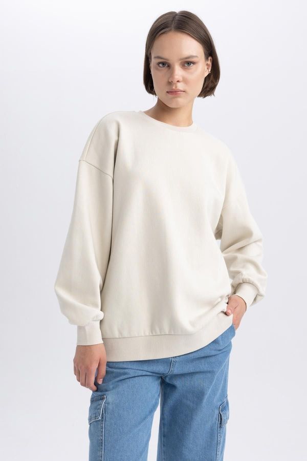 DEFACTO DEFACTO Oversize Fit Crew Neck Thick Sweatshirt