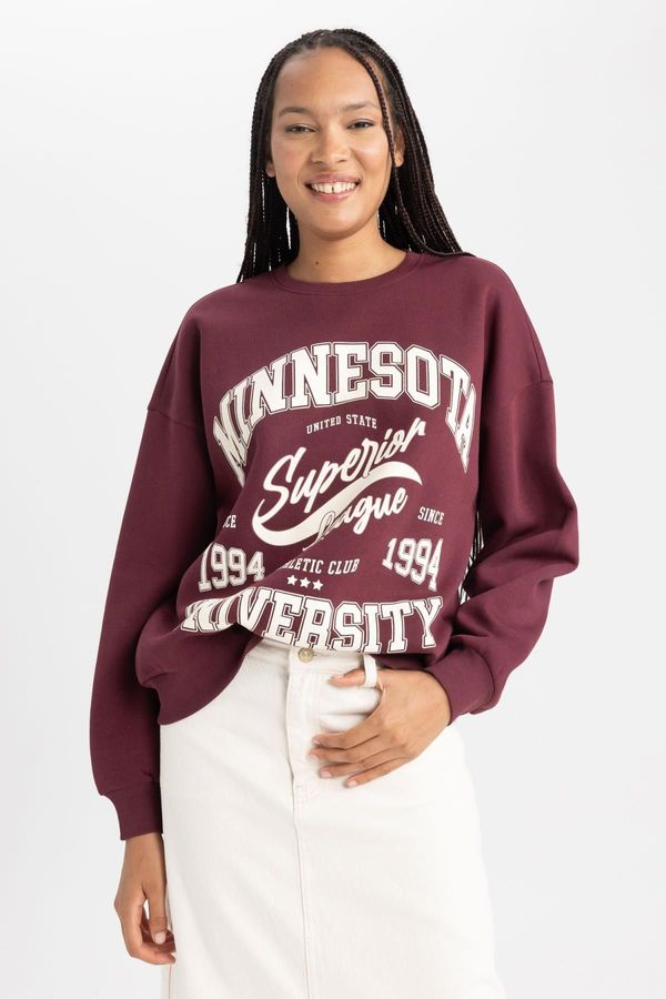 DEFACTO DEFACTO Oversize Fit Crew Neck Thick Sweatshirt