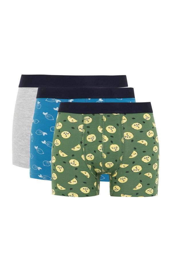 DEFACTO DEFACTO Regular Fit 3-pack Boxer