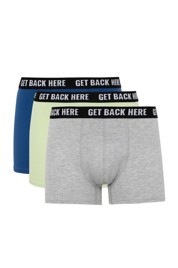 DEFACTO DEFACTO Regular Fit 3-pack Boxer