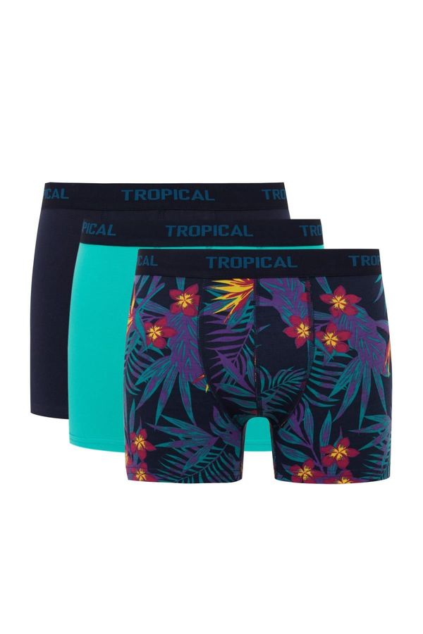 DEFACTO DEFACTO Regular Fit 3-Piece Boxer