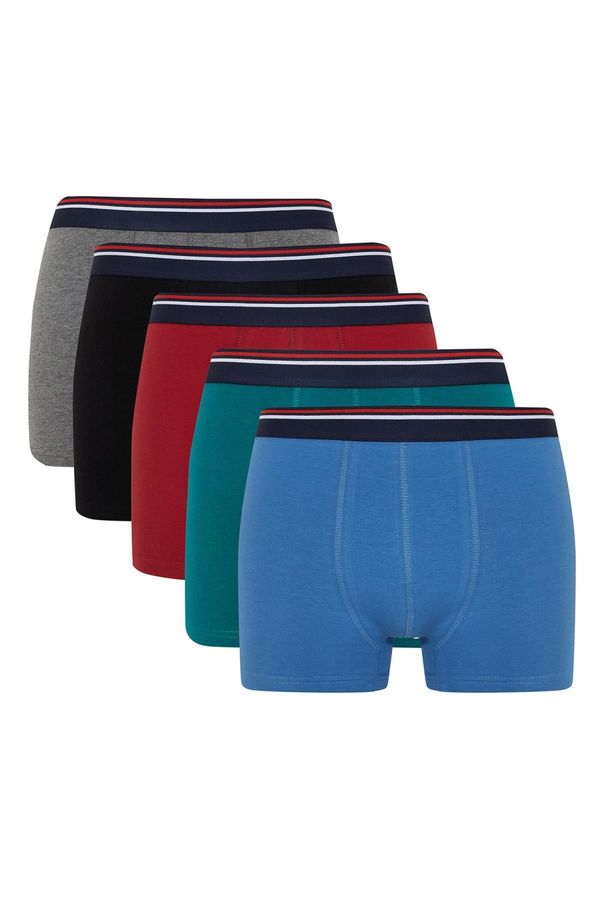 DEFACTO DEFACTO Regular Fit 5-Piece Boxer