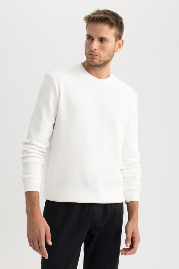 DEFACTO DEFACTO Regular Fit Basic Sweatshirt