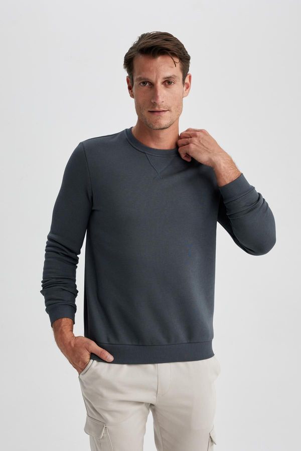 DEFACTO DEFACTO Regular Fit Crew Neck Basic Cotton Sweatshirt