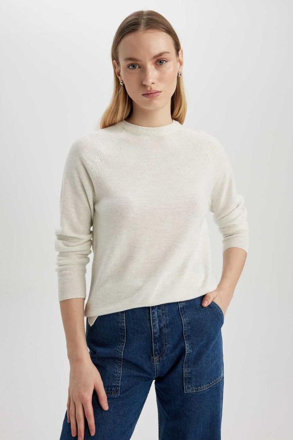 DEFACTO DEFACTO Regular Fit Crew Neck Basic Knitwear Sweater