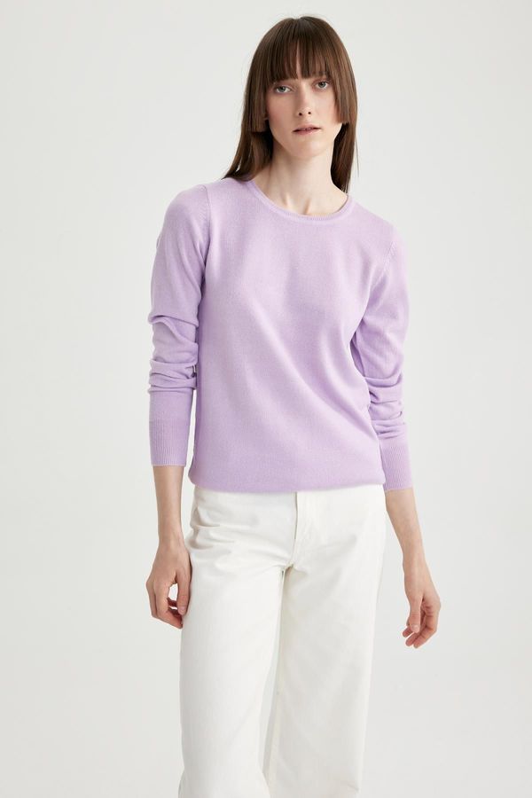 DEFACTO DEFACTO Regular Fit Crew Neck Basic Plain Knitwear Sweater