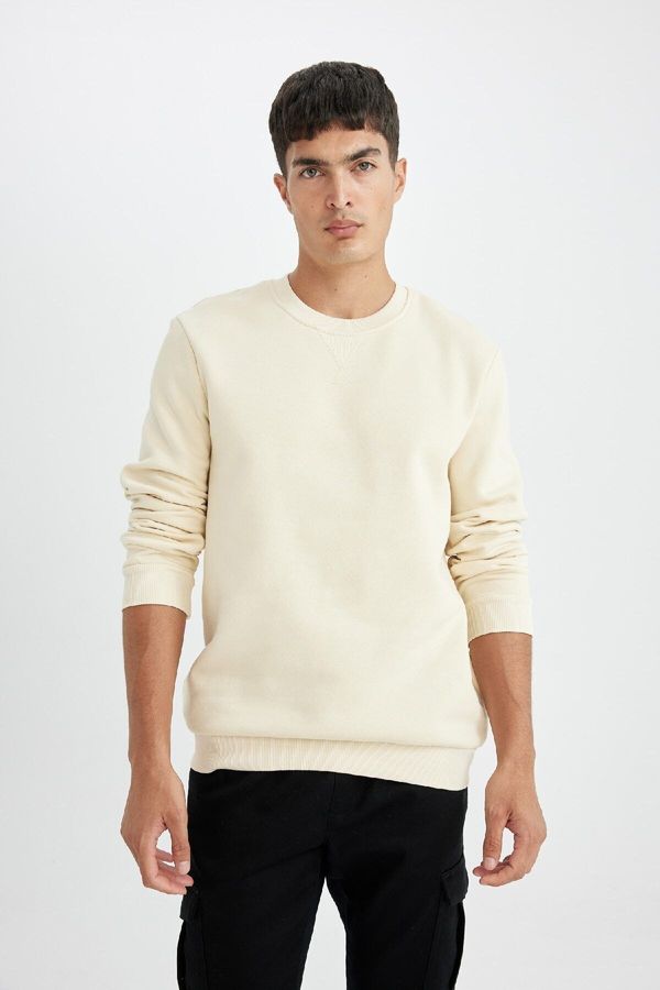 DEFACTO DEFACTO Regular Fit Crew Neck Basic Plain Sweatshirt