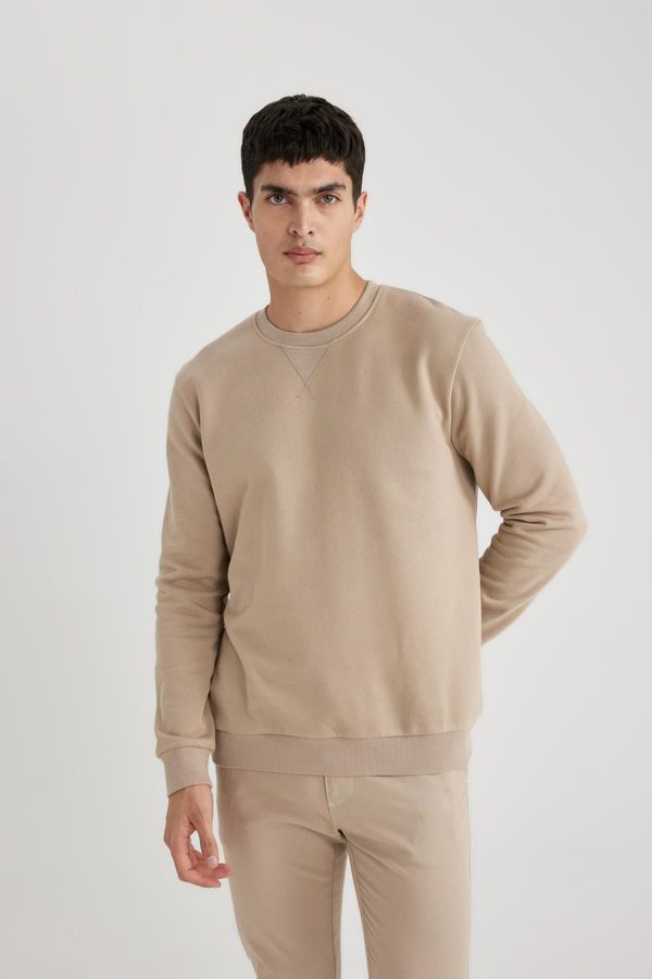 DEFACTO DEFACTO Regular Fit Crew Neck Cotton Basic Sweatshirt