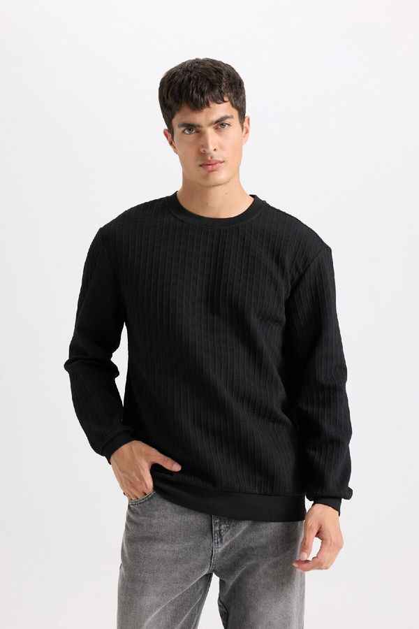 DEFACTO DEFACTO Regular Fit Crew Neck Jacquard Basic Plain Sweatshirt