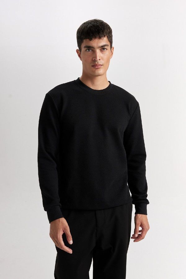 DEFACTO DEFACTO Regular Fit Crew Neck Jacquard Sweatshirt D5394AX24AU