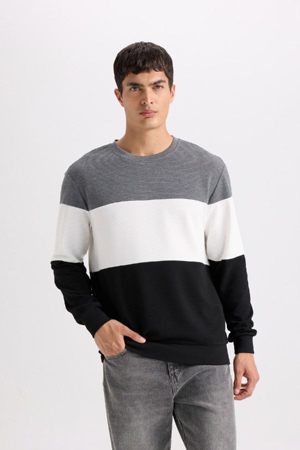 DEFACTO DEFACTO Regular Fit Crew Neck Jacquard Sweatshirt