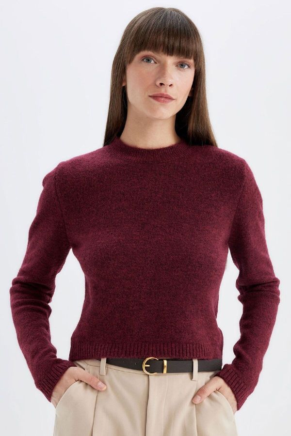 DEFACTO DEFACTO Regular Fit Crew Neck Premium Basic Plain Crop Knitwear Sweater