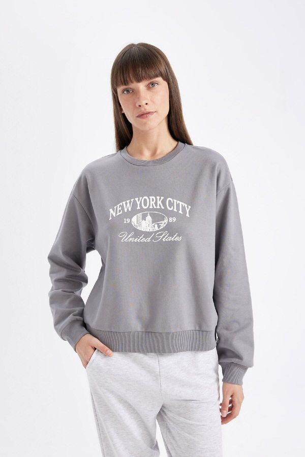 DEFACTO DEFACTO Regular Fit Crew Neck Printed Thin Sweatshirt