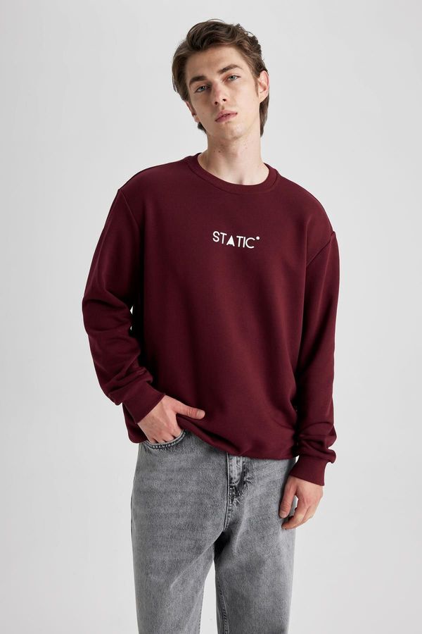 DEFACTO DEFACTO Regular Fit Crew Neck Sweatshirt