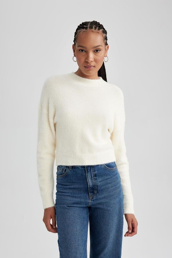 DEFACTO DEFACTO Regular Fit Half Turtleneck Knitwear Sweater