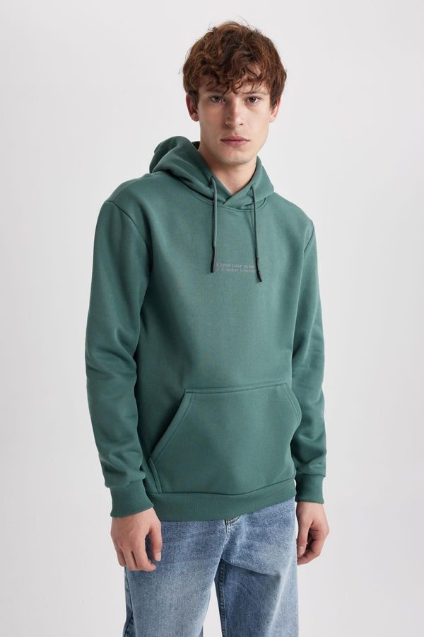 DEFACTO DEFACTO Regular Fit Hooded Printed Sweatshirt