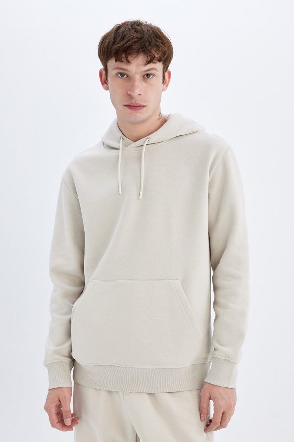 DEFACTO DEFACTO Regular Fit Hooded Sweatshirt