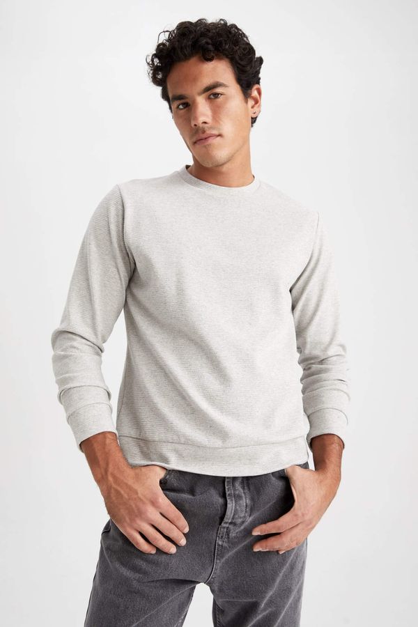 DEFACTO DEFACTO Regular Fit Sweatshirt