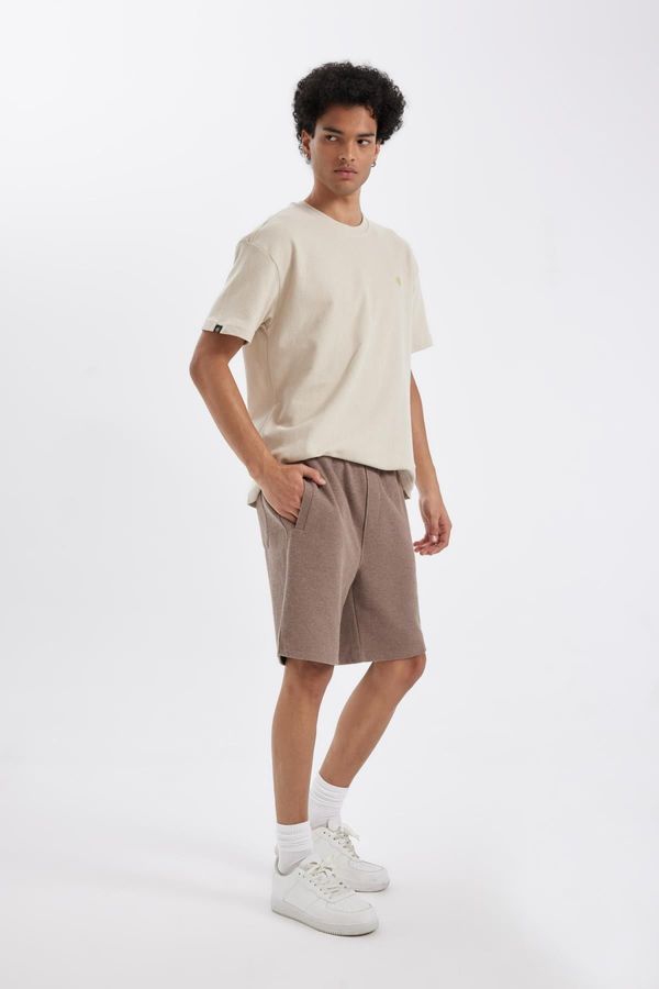 DEFACTO DEFACTO Regular Fit Thessaloniki Fabric Shorts