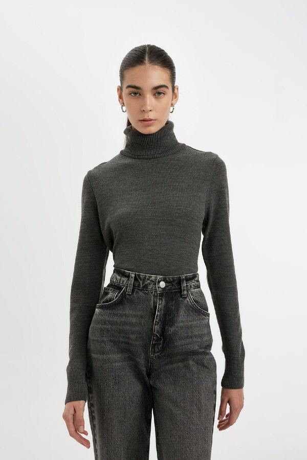 DEFACTO DEFACTO Regular Fit Turtleneck Basic Sweater