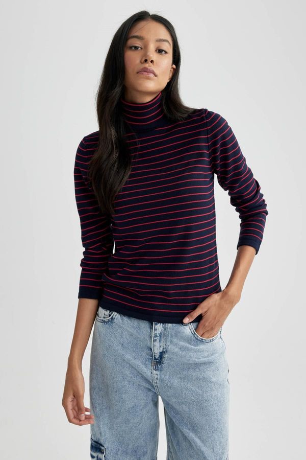 DEFACTO DEFACTO Regular Fit Turtleneck Sweater