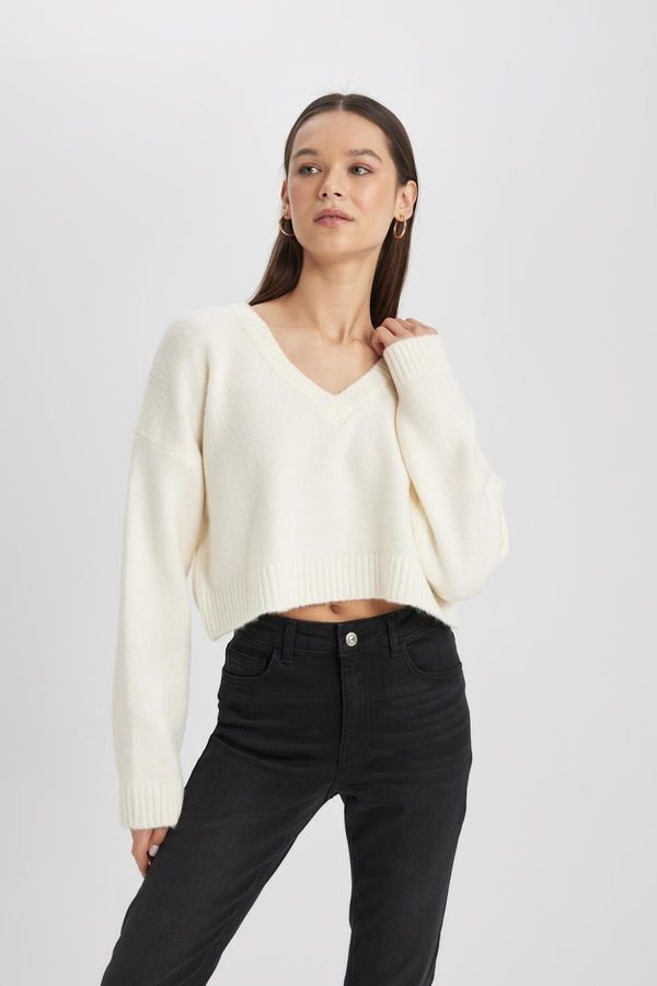 DEFACTO DEFACTO Regular Fit V-Neck Sweater