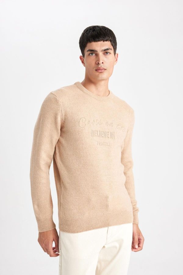 DEFACTO DEFACTO Relax Fit Crew Neck Sweater