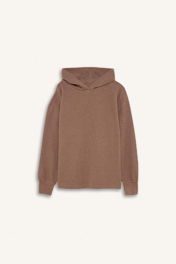 DEFACTO DEFACTO Relax Fit Hooded Casual Basic Plain Sweatshirt