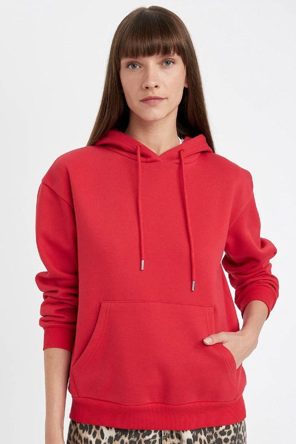 DEFACTO DEFACTO Relax Fit Hooded Kangaroo Pocket Thick Basic Plain Sweatshirt